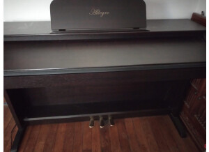 Delson Allegro 8865