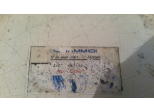 Lna Whammidi (37174)