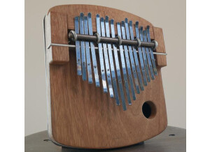 Soundiron Hopkin Instrumentarium: Rattletines