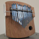 Hopkin Instrumentarium: Rattletines Hopkin Instrumentarium: Rattletines