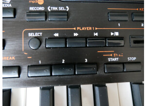 Korg Pa4X 76 (81584)