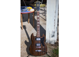 ARP Pro Soloist (101)