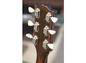 ARP Pro Soloist (32582)