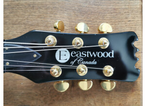 Eastwood Guitars Sidejack Baritone (22157)