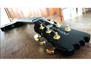 Eastwood Guitars Sidejack Baritone (61459)