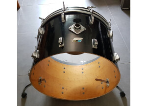 Ludwig Drums Maple Classic