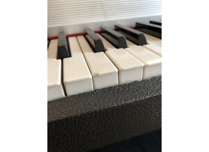 922028A9-2A98-4F3B-B3B5-2C7617307136