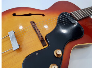 Gibson ES-120T (73501)