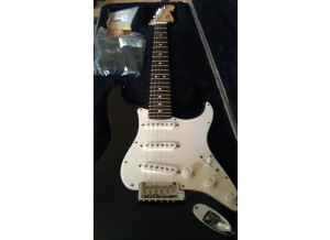 Fender [American Standard Series] Stratocaster - Charcoal Frost Metallic Maple