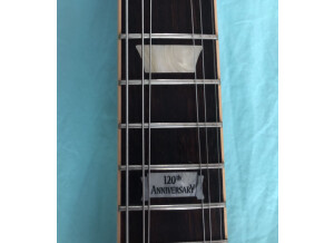 Gibson Firebird 2014 (64180)