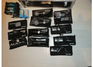 Shure SM58 (96020)