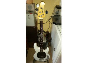 Sterling by Music Man Ray4 (50355)