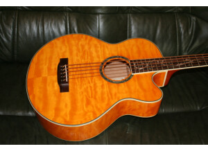 Michael Kelly Guitars Dragonfly 5c (53777)