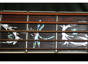 Michael Kelly Guitars Dragonfly 5c (7609)