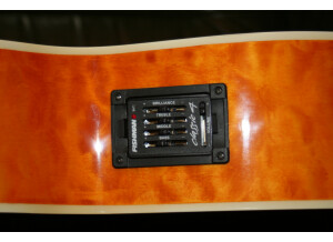 Michael Kelly Guitars Dragonfly 5c (91116)