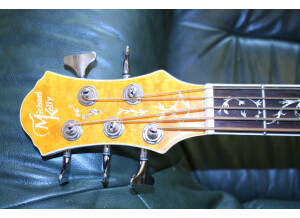 Michael Kelly Guitars Dragonfly 5c (42477)