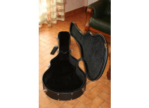 Michael Kelly Guitars Dragonfly 5c (65616)