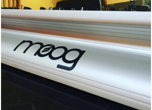 Moog Music SUB 37 (32840)