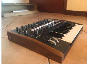 Arturia MiniBrute 2 (54803)