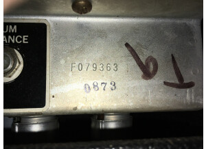 Fender Bassman 135 (Silverface) (69118)