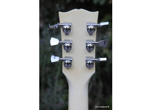 Gibson Les Paul Signature T (27959)
