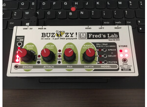 Fred's Lab Buzzzy! (97771)