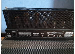 Ampeg Heritage B-15N (95719)