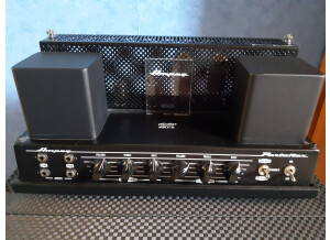Ampeg Heritage B-15N (16958)