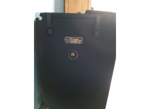 Ampeg Heritage B-15N (11710)