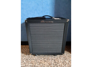 Ampeg Heritage B-15N (29479)