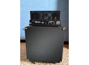 Ampeg Heritage B-15N (79581)