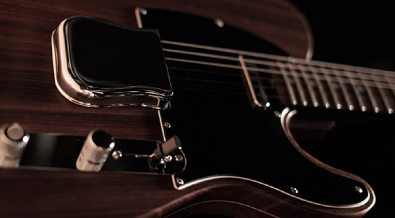 telecasterpalissandre