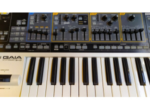 Roland Gaia2