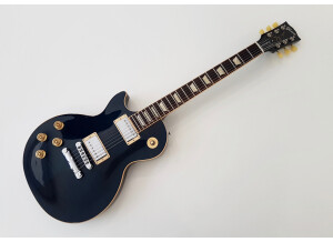 Gibson Les Paul Traditional 2013 LH (47835)