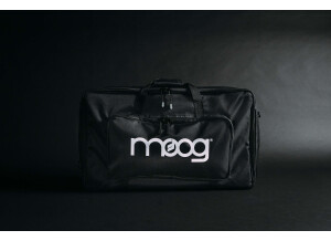 Moog Music Moog Multi-Purpose Gig Bag