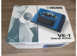 Boss VE-1 Vocal Echo (13588)