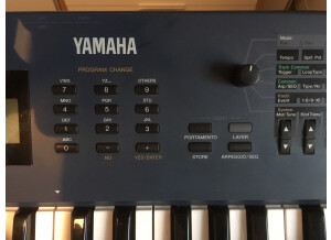 Yamaha AN1X (81886)