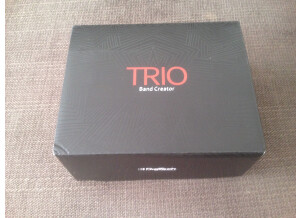 DigiTech Trio Band Creator (41718)
