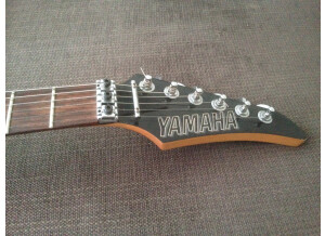 Yamaha RGX421D (45739)