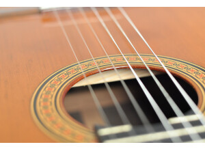 Alhambra Guitars 9C (30638)