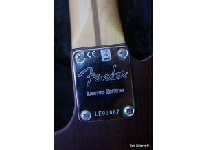 Fender Limited Edition American Vintage Hot Rod '50s Tele Reclaimed Redwood (60177)