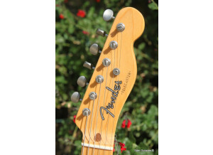 Fender Limited Edition American Vintage Hot Rod '50s Tele Reclaimed Redwood (3317)