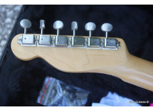 Fender Limited Edition American Vintage Hot Rod '50s Tele Reclaimed Redwood (34499)