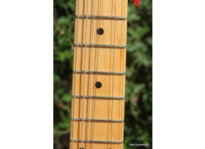 Fender Limited Edition American Vintage Hot Rod '50s Tele Reclaimed Redwood (71760)