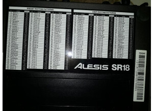 1-Alesis SR 18