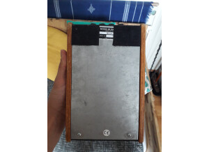 Moog Music MF-102 Ring Modulator (93959)