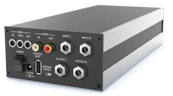 DinoPark Rear DinoPark Rear