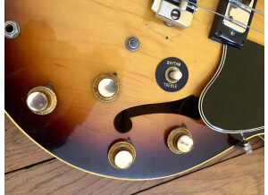 Gibson EB-2D (22074)