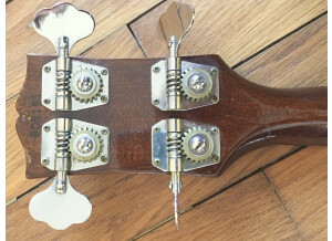 Gibson EB-2D (66429)