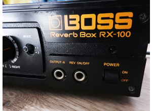 Boss RX-100 Reverb Box (74211)